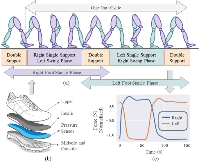 NDDNet: a deep learning model for predicting neurodegenerative diseases from gait pattern