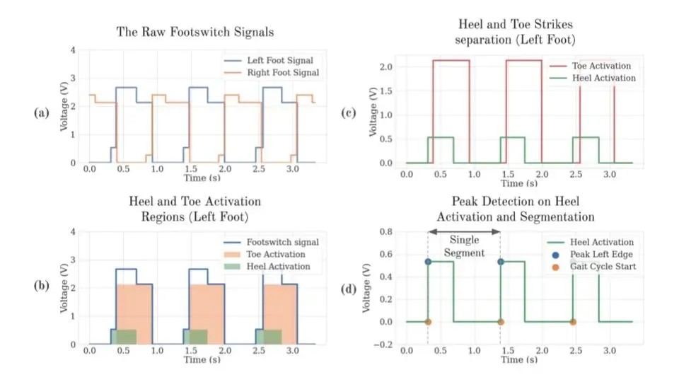 An investigation to study the effects of Tai Chi on human gait dynamics using classical machine learning